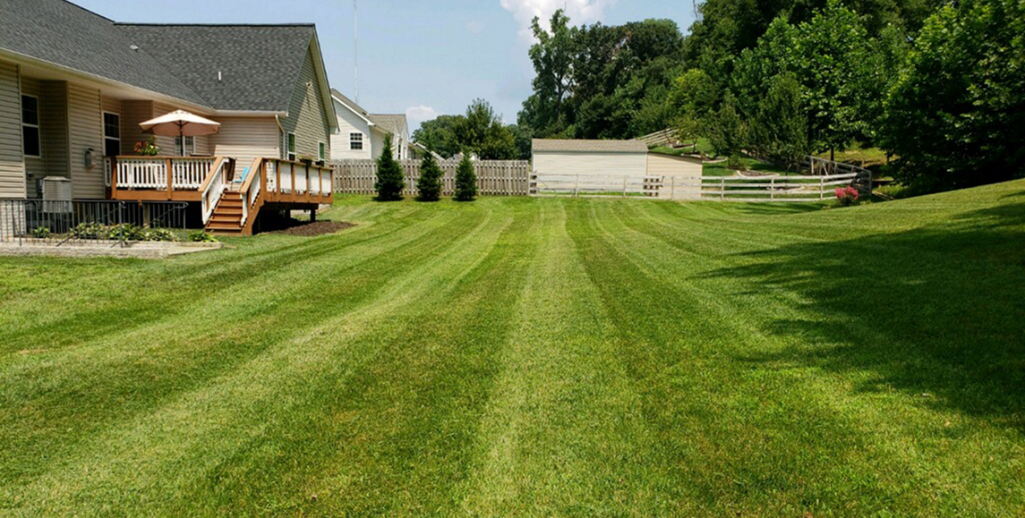 landscaping stafford va